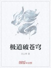 极道破苍穹封面