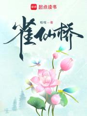 雀仙桥封面