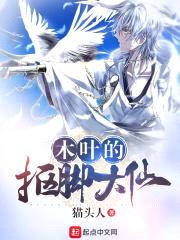 木叶的抠脚大仙封面