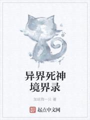 异界死神境界录封面