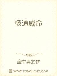 极道威命封面