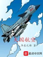 大国航空封面
