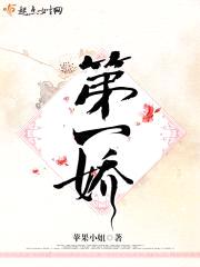 第一娇封面