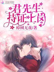 君先生，持证上岗封面