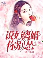 顾先生，我们离婚吧！封面