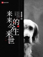 来来的今生来世封面