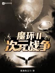 魔环II次元战争封面