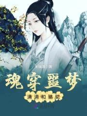 魂穿噩梦：清清和骆驼封面