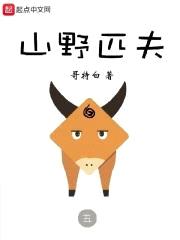 山野匹夫封面