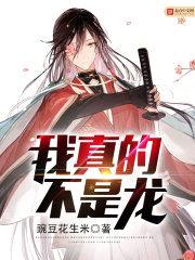 我真的不是龙封面