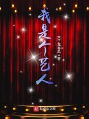 我是个艺人封面