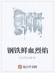 钢铁鲜血烈焰封面