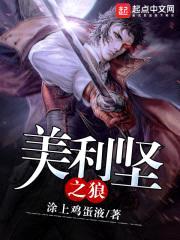 美利坚之狼封面