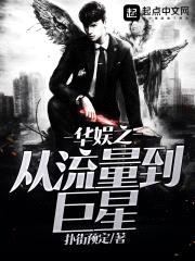 华娱之从流量到巨星封面