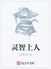 灵智上人封面