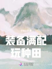 装备满配玩种田封面
