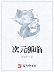 次元狐临封面