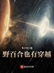 野百合也有穿越封面