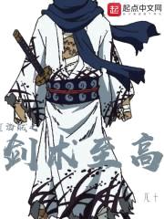 海贼之剑术至高封面