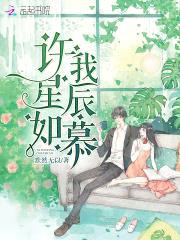 许我星辰如慕封面