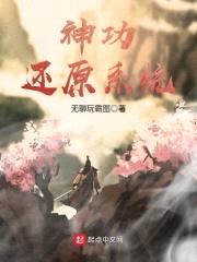 神功还原系统封面