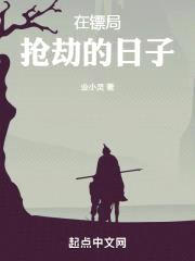 在镖局抢劫的日子封面