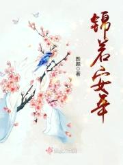 锦若安年封面