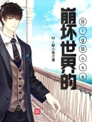崩坏世界的BigBoss封面