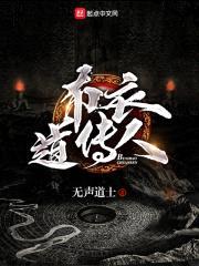 布衣道传人封面