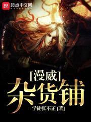 漫威杂货铺封面
