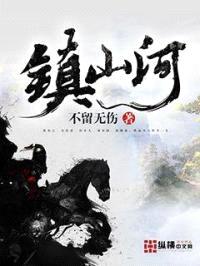 镇山河封面