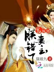 皇上嫁到：妻主，朕错了！封面