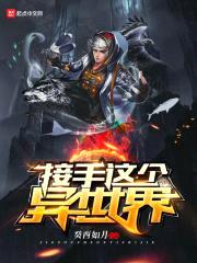 接手这个异世界封面