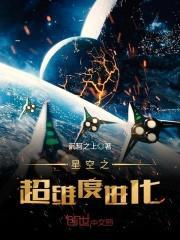 星空之超维度进化封面