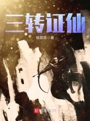 三转证仙封面