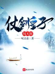 仗剑皇子闯天涯封面