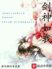 风华不见雪月封面
