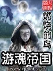 游魂帝国封面