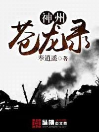 神州苍龙录封面