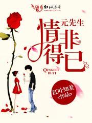 元先生，情非得已封面