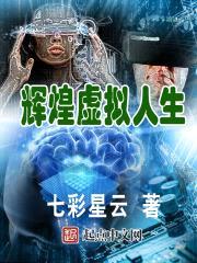 辉煌虚拟人生封面