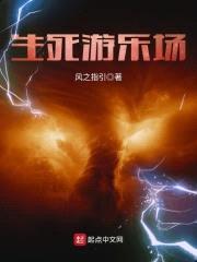生死游乐场封面
