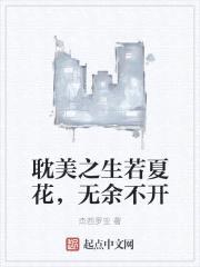 耽美之生若夏花，无余不开封面