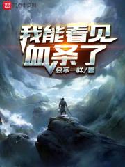 我能看见血条了封面