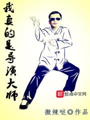 我真的是导演大师封面