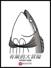 有限的大冒险封面