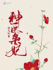 神医枭妃封面