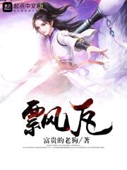 飘瓦封面