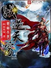 战逆天穹封面