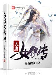 大唐女侠传封面